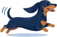 Kleine hond