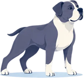 Middelgrote hond